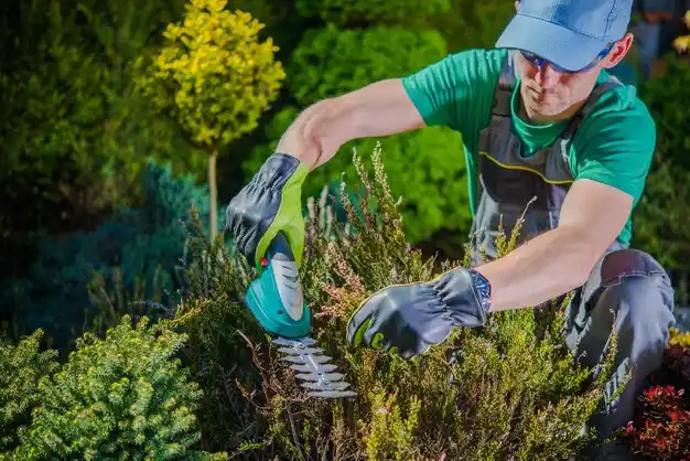 landscaping services Sanborn